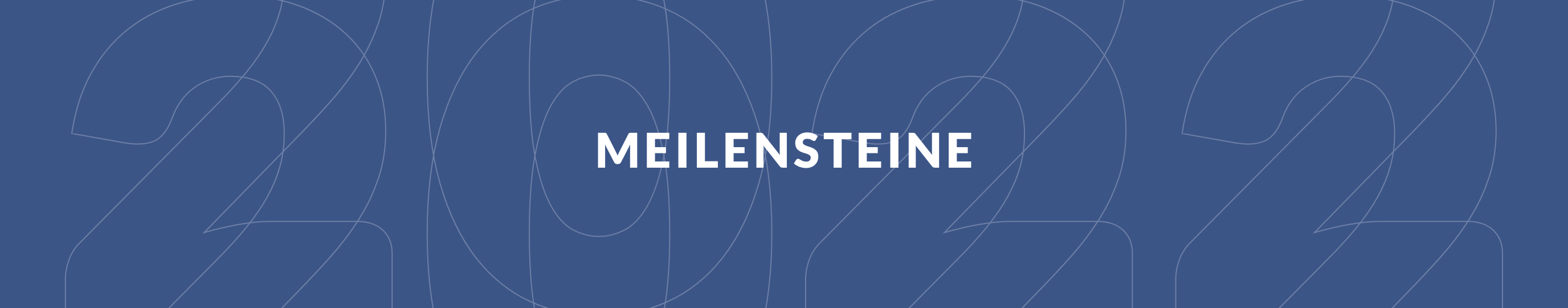 Meilensteine – FMH Geschäftsbericht 2020 